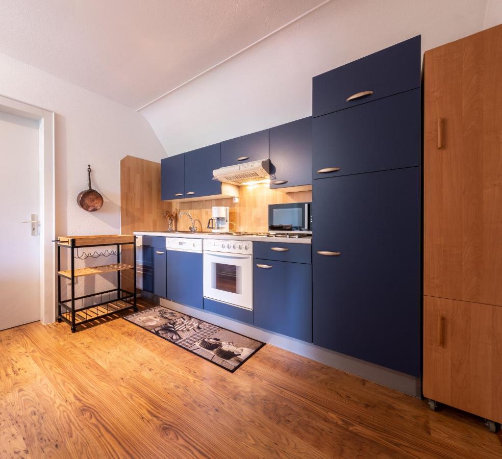 Les Quatre Vents Apartment Thannenkirch Bagian luar foto